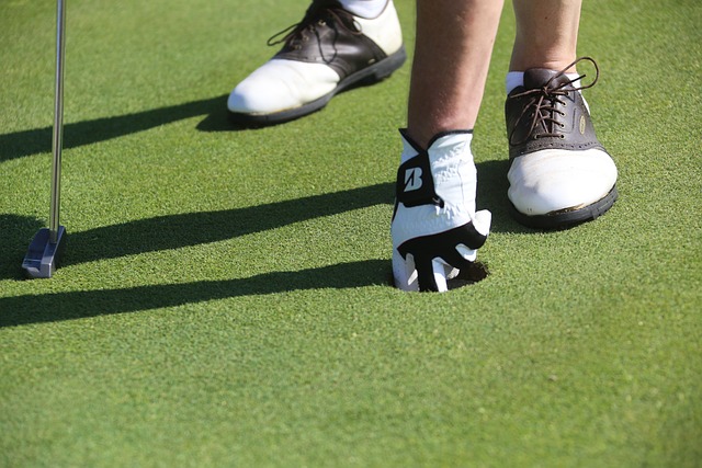 Guia basica sobre zapatos de golf