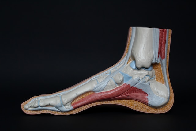 ¿Cuáles son los beneficios del zapato ortopédico